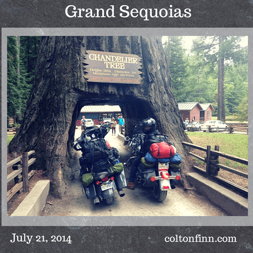 7-21_redwood-chandelier