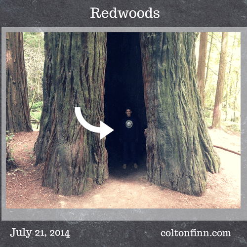 7-21_redwood-colton